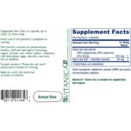 Alternative view of Green Tea - 60 capsules