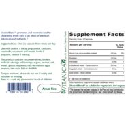 Cholestblend - 90 capsules - Image 2