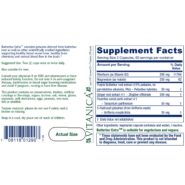 Alternative view of Butterbur Extra - 120 capsules