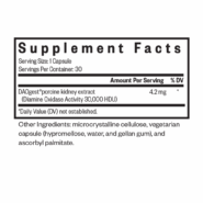 DAO Enzyme facts