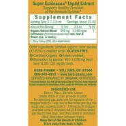 Super Echinacea