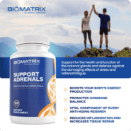 Support Adrenals