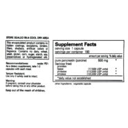 Pancreatic Enzyme - 120 CAPS
