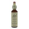 Vervain 20ml
