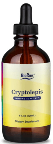 Cryptolepis