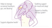 G.I. InnerCalm benefits