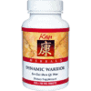 Dynamic Warrior 120 tabs