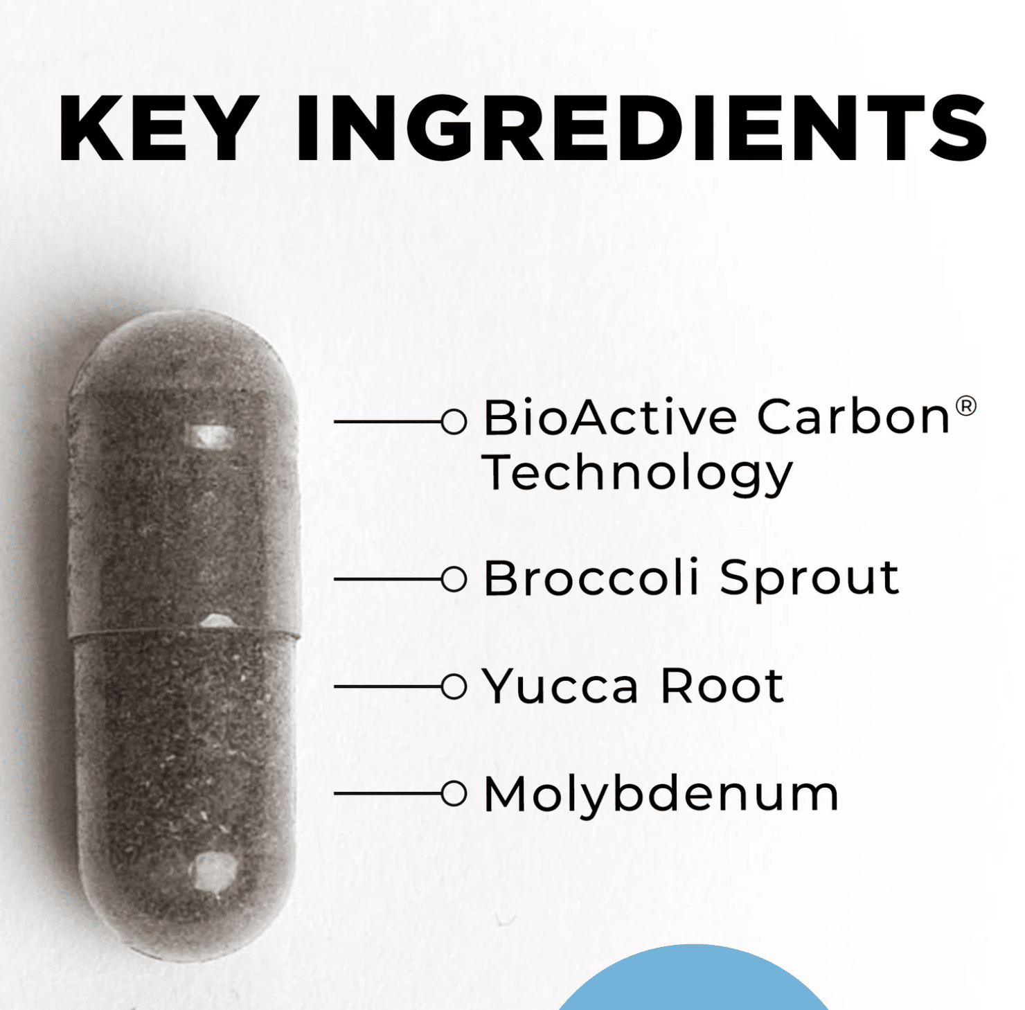 BioToxin Binder key ingredients
