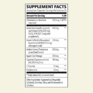 Alternative view of Metabolism - 70 capsules