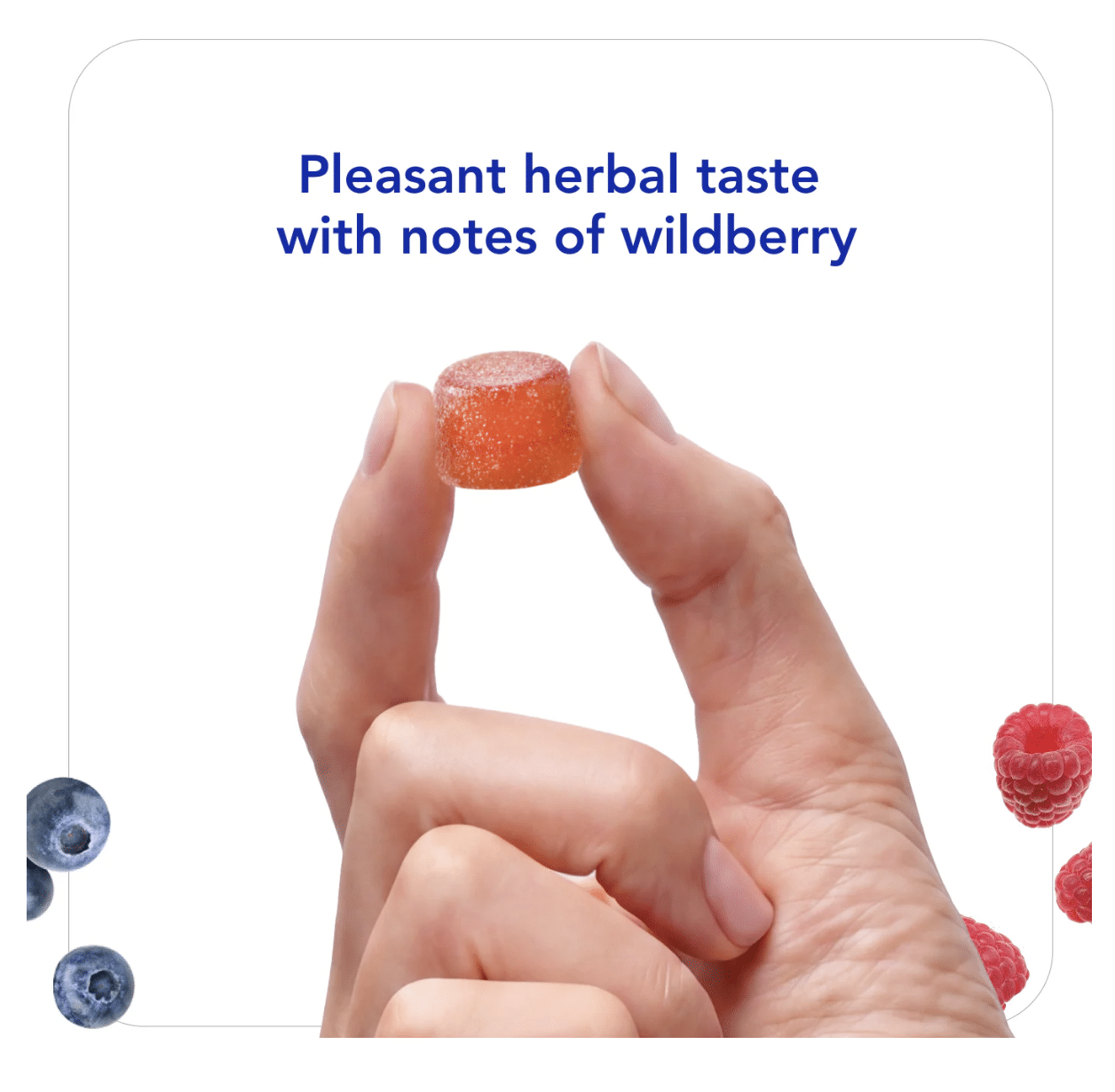 Biocidin Gummies - 60ct